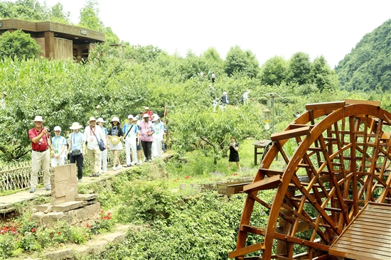 180余名国内外嘉宾走进幸福古村