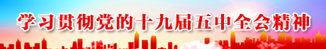 学习贯彻党的十九届五中全会精神