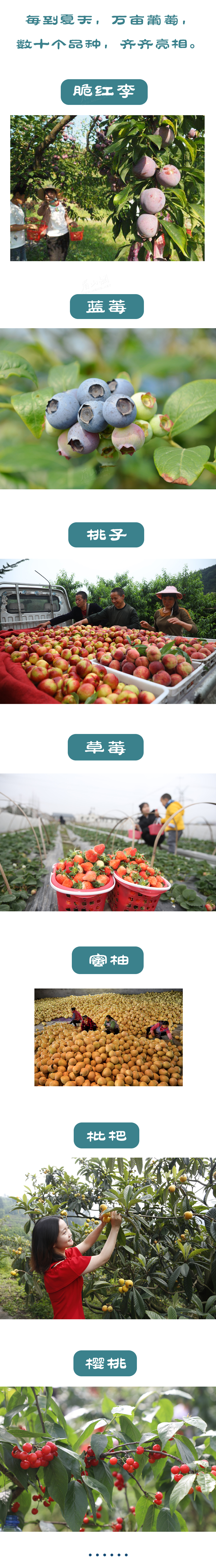 美食6-2 水印.png