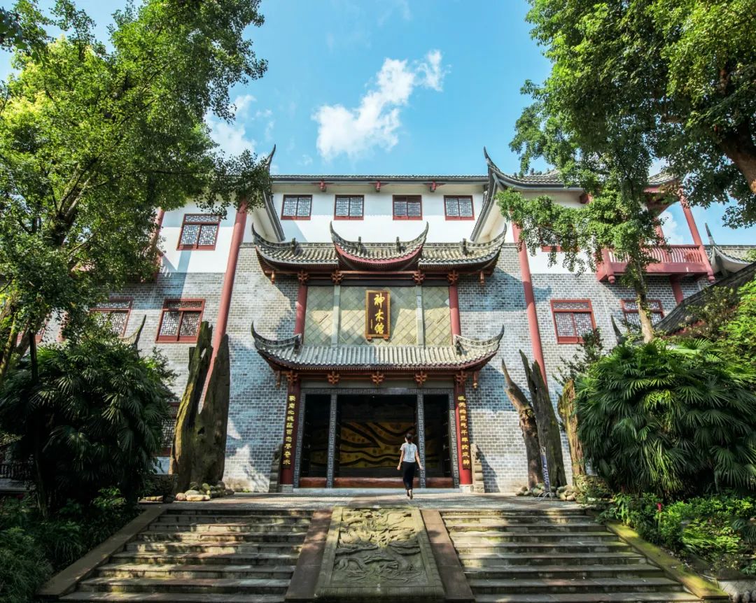 江湾神木园。图源市文广旅局.jpg