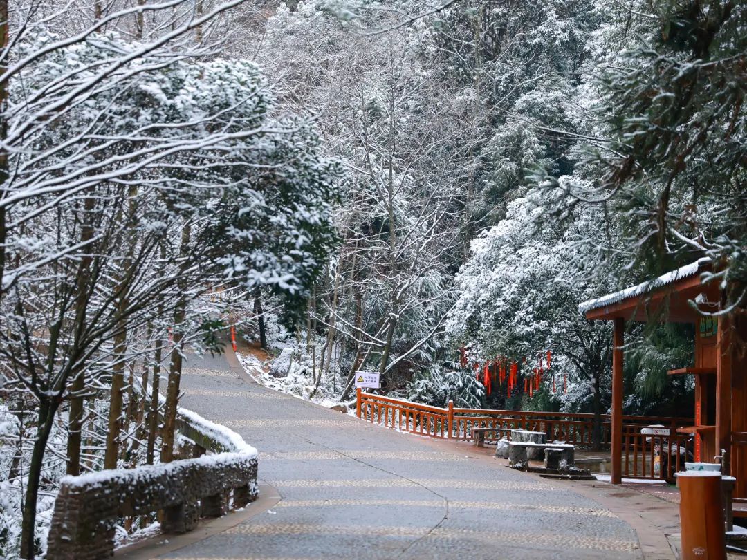 老峨山。图源老峨山景区（2）.jpg