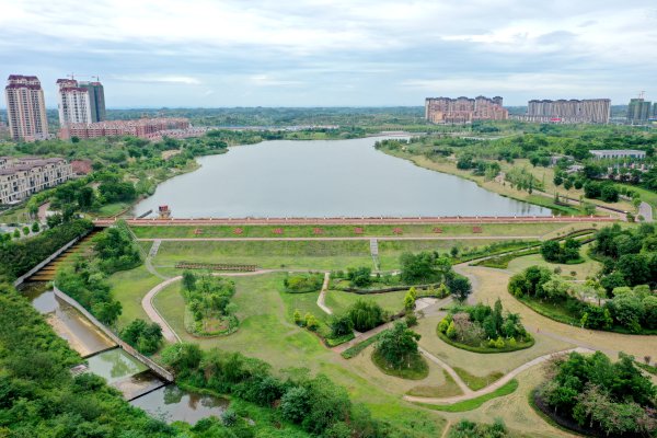 城市湿地公园。.jpg