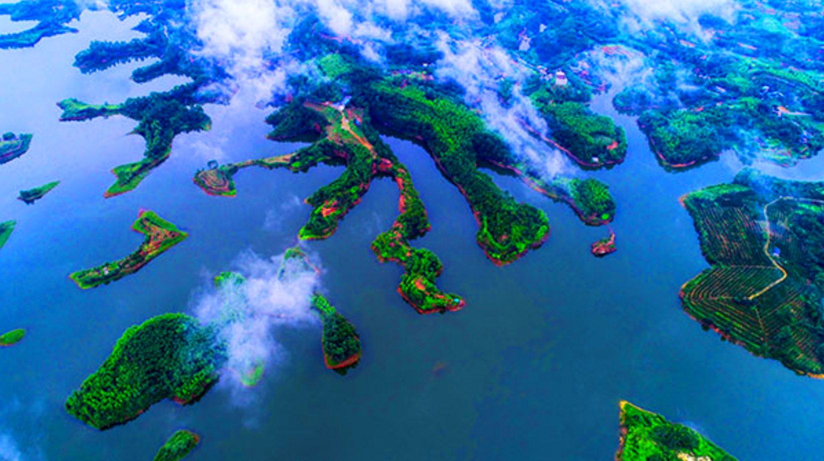 QQ截图20200917094343.png