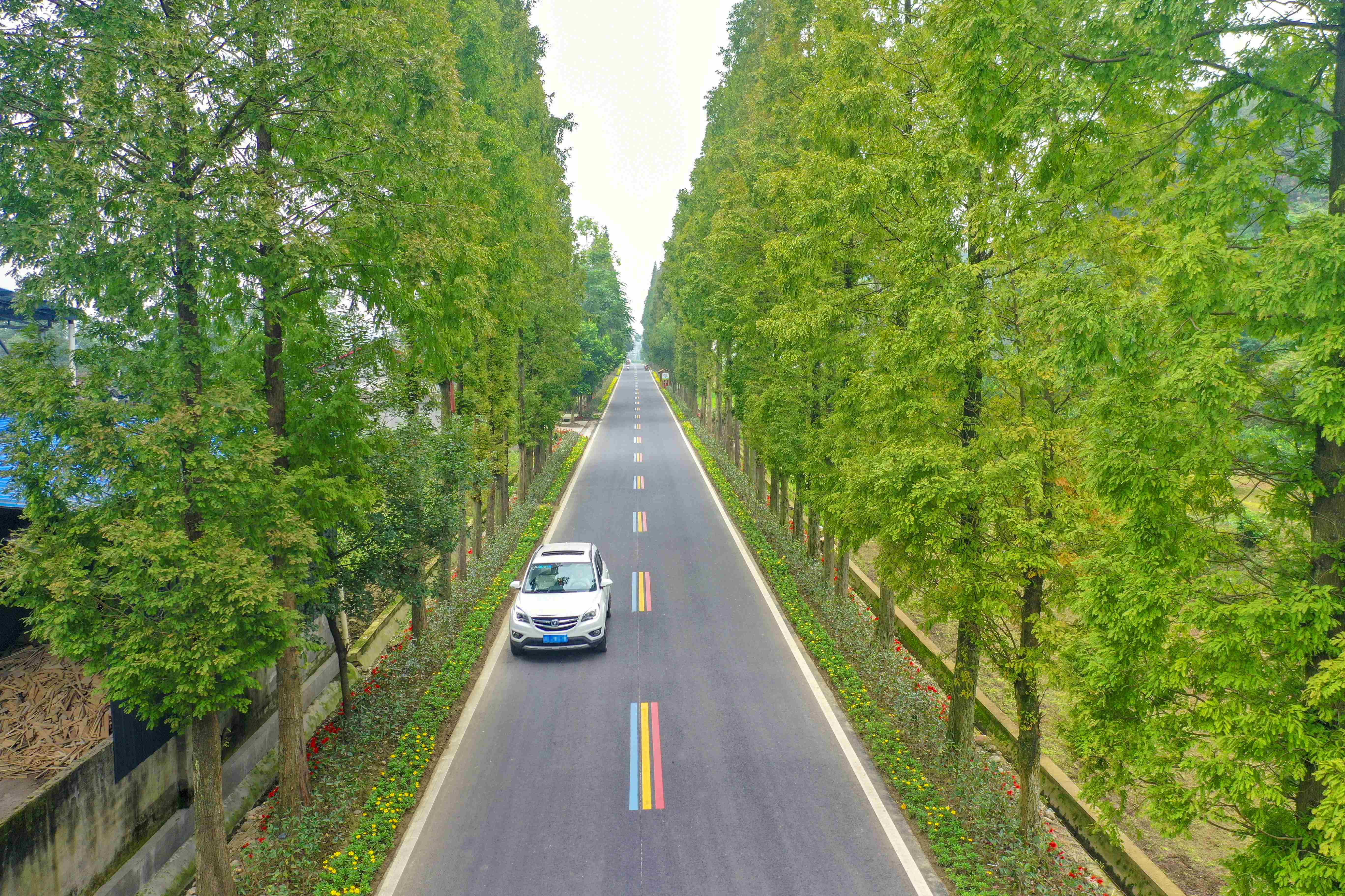 青关路连接东山多个交通节点。