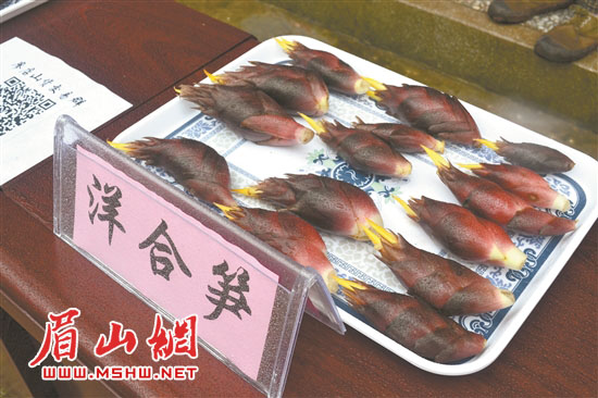 4副本.jpg