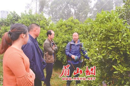 袁兴亮为果农实地讲解果树栽培技术。（右一为袁兴亮）.jpg