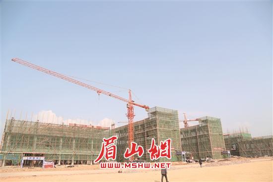 res04_attpic_brief (2).jpg