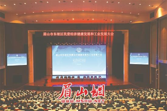 东坡区民营经济健康发展和工业发展大会。.jpg