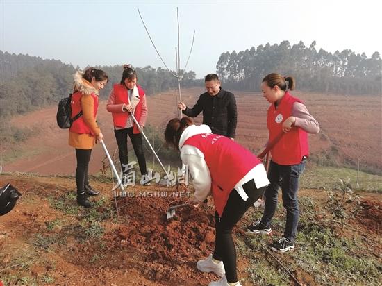 参与义务植树。.jpg 参与义务植树。.jpg