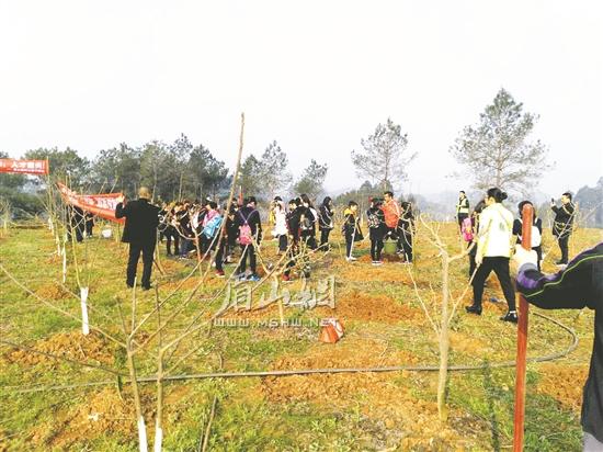 植树现场。.JPG