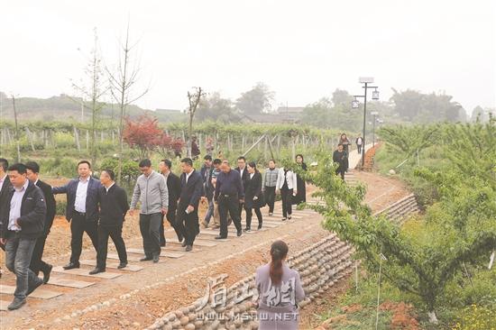 与会人员在尚义镇中心村参观。.jpg