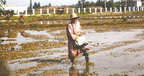 res01_attpic_brief.jpg res01_attpic_brief.jpg