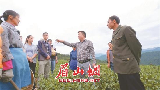 付志洪（右3）和村民分享茶叶种植技术。.jpg