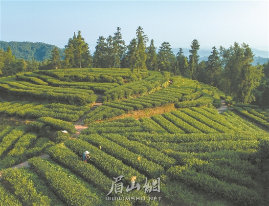 res01_attpic_brief.jpg res01_attpic_brief.jpg