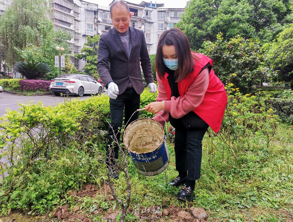 种下小树，寄托思念.jpg