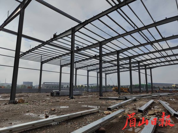 洪雅县年产1万台专用电动车项目建设现场。