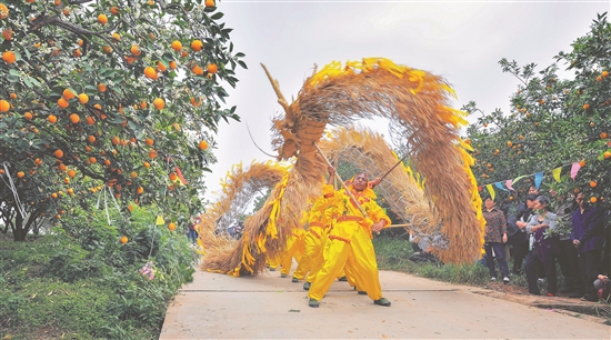 彭山非物质文化遗产“草龙”展示。.jpg
