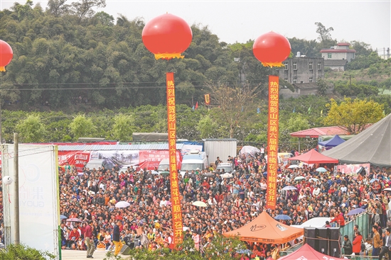 2015年第六届“相约彭山，完美橙现”黄丰橘花节开幕式现场人头攒动。.jpg