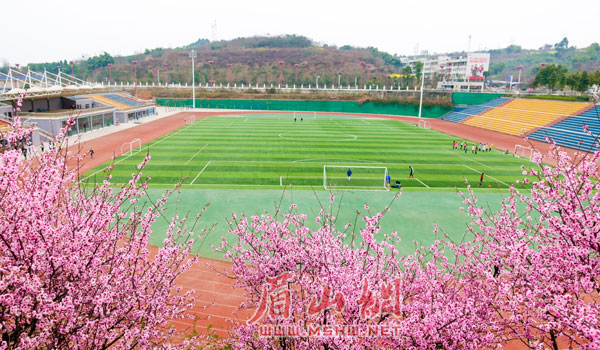 春日暖阳 花开眉山