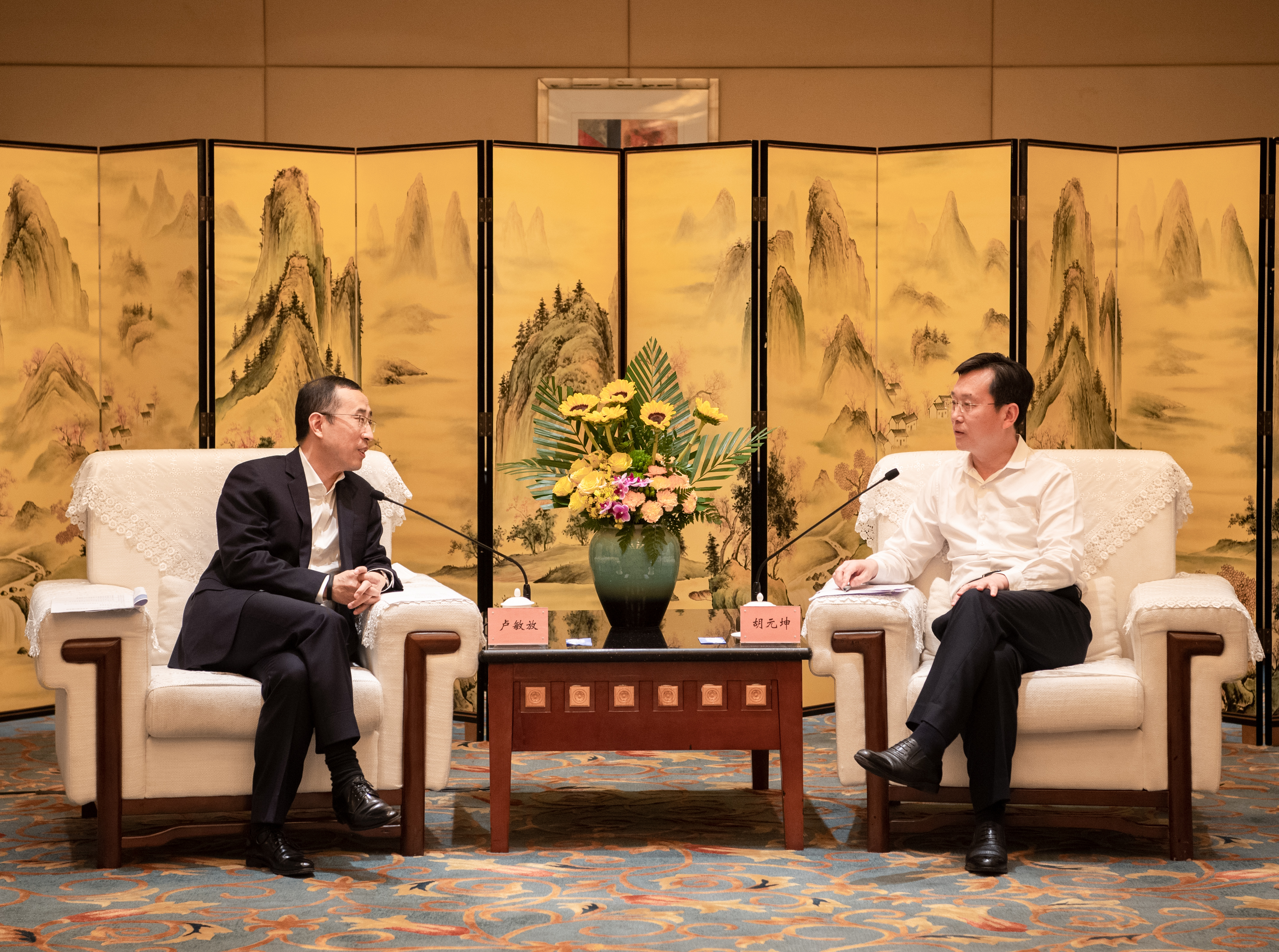 9日，胡元坤在成都会见卢敏放一行。  记者 杨槐  摄.jpg