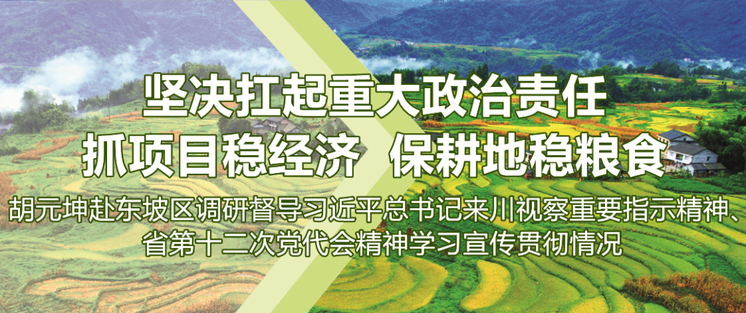 0623书记东坡区.jpg