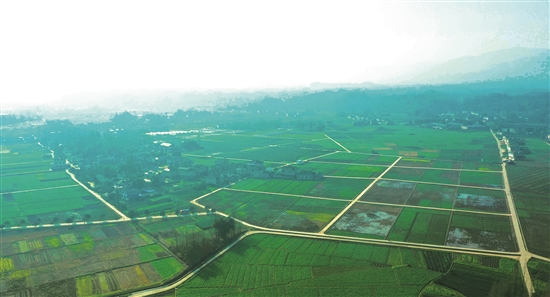 已实施项目的实景。