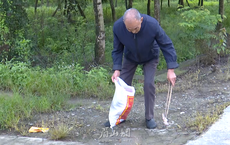 古稀老人热心环保,每天义务捡垃圾.png