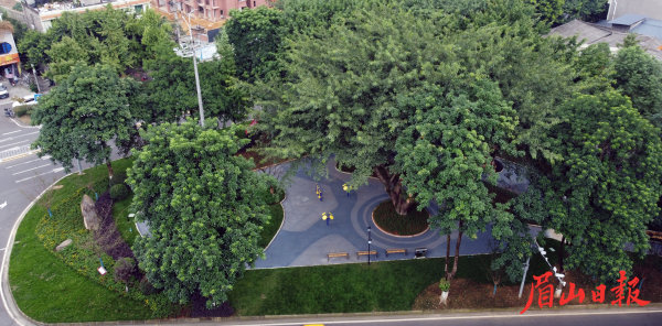  航拍“口袋公园”。