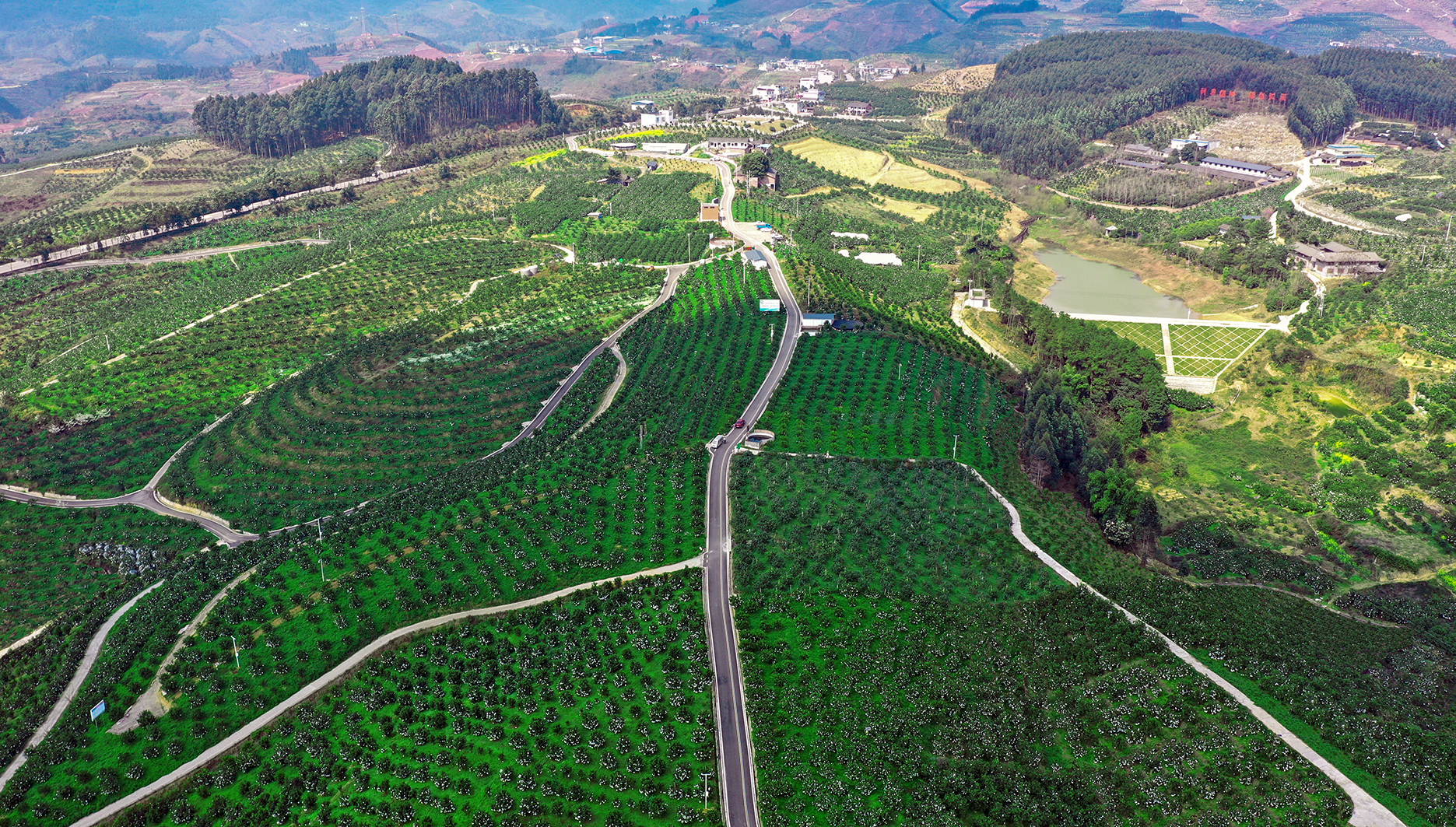丹橙现代农业园区核心区——红石村。