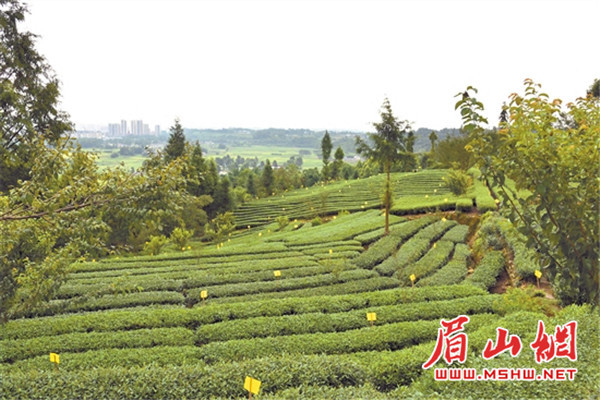1 (1)_副本1.jpg 1 (1)_副本1.jpg