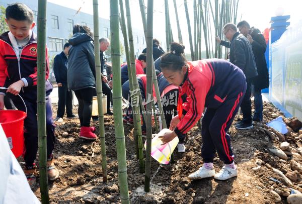 学生为栽下的竹苗浇水。余静 牟艳琳摄.JPG