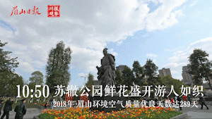 苏辙公园.gif