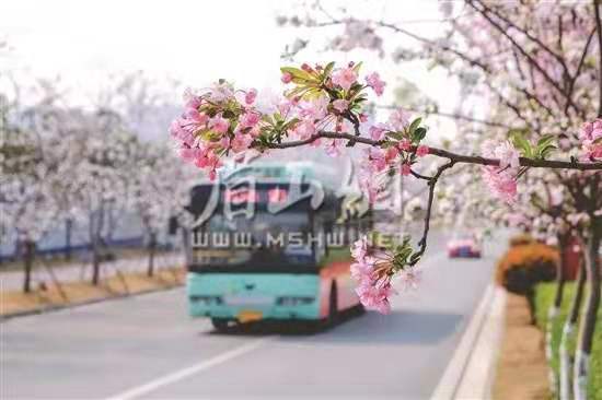 微信图片_20190319154817.jpg