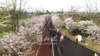 微信图片_20190319154808.jpg