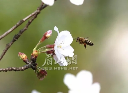 微信图片_20190319154812.jpg