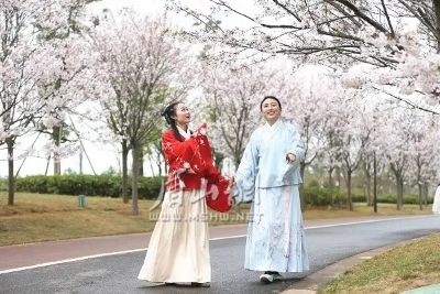 微信图片_20190319154757.jpg