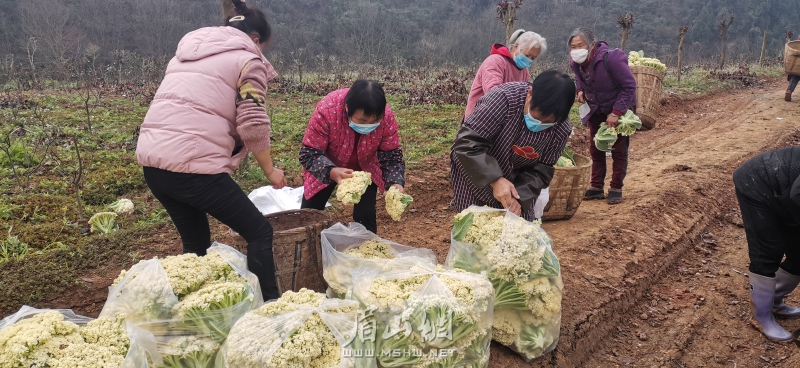微信图片_20200131150455.jpg