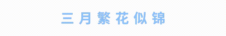 萤火虫.gif