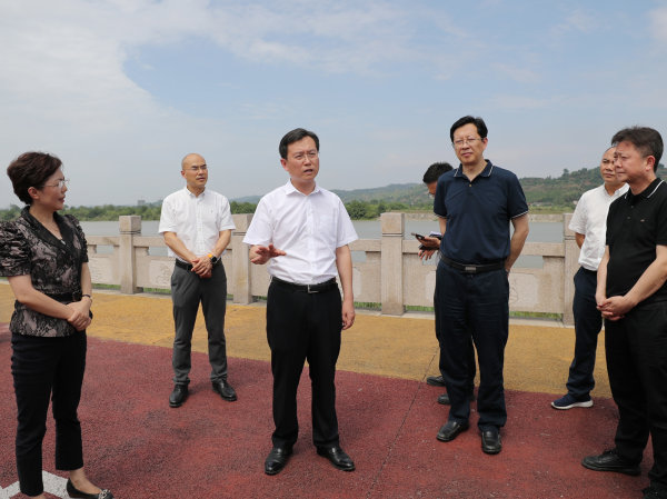胡元坤在岷江彭山区陈家湾段调研督导河长制工作。记者 雷同 摄.JPG