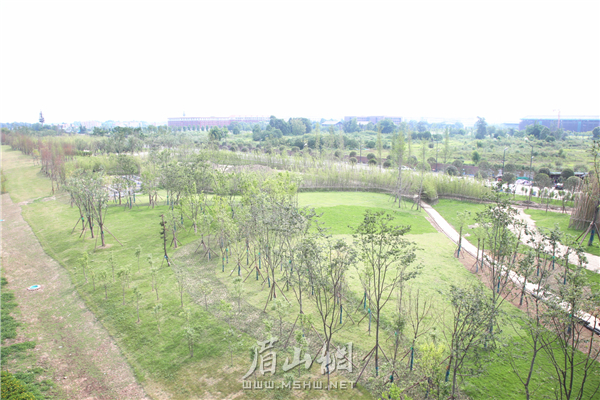 竹韵廊公园总进度已完成80%。.JPG