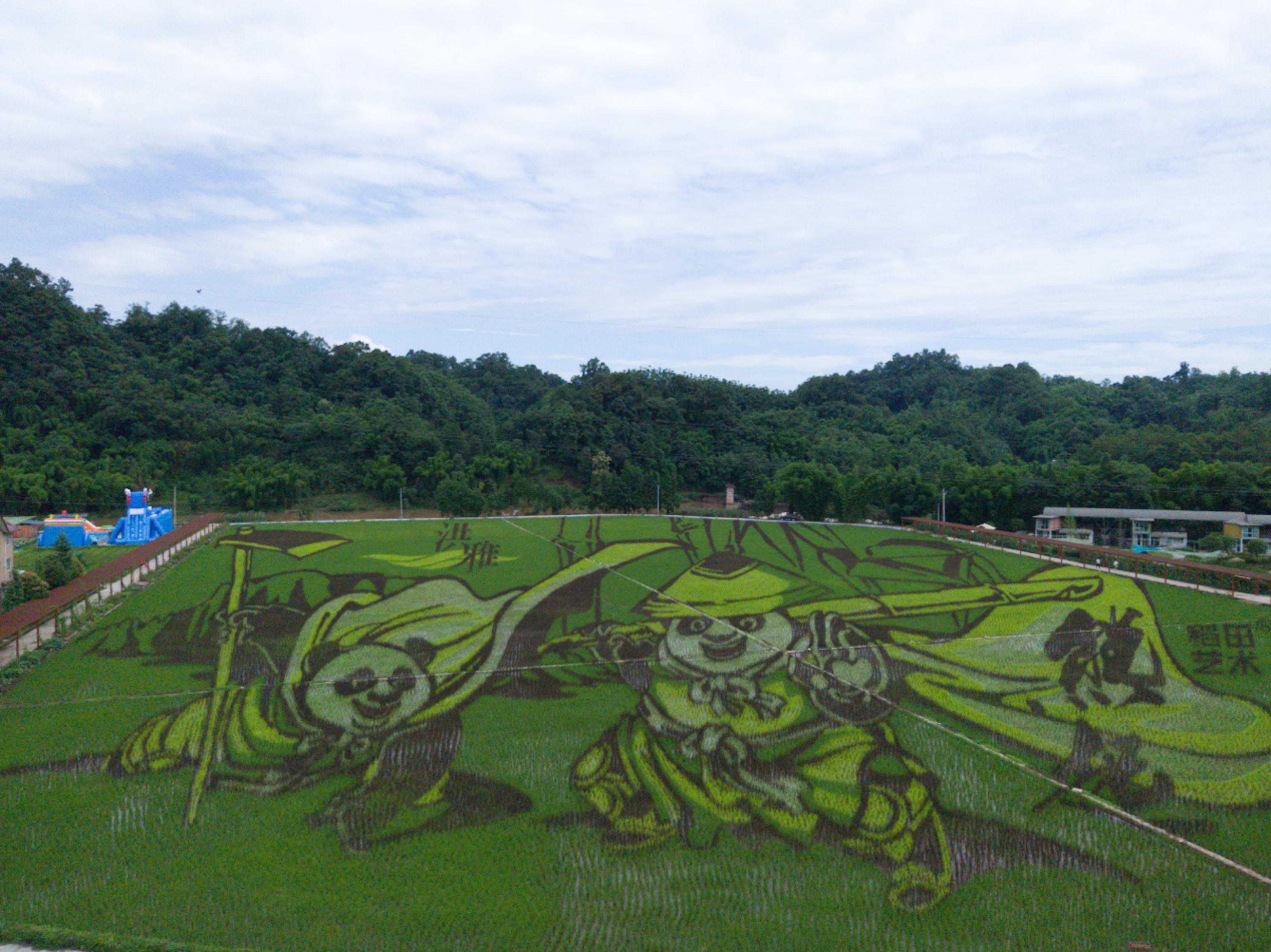 稻香湾梦幻田园景区稻田艺术实景。.jpg
