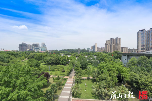 城区绿树成荫。