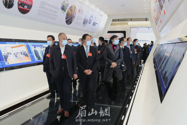 市人大代表在通威太阳能电池项目视察。记者 雷同 摄