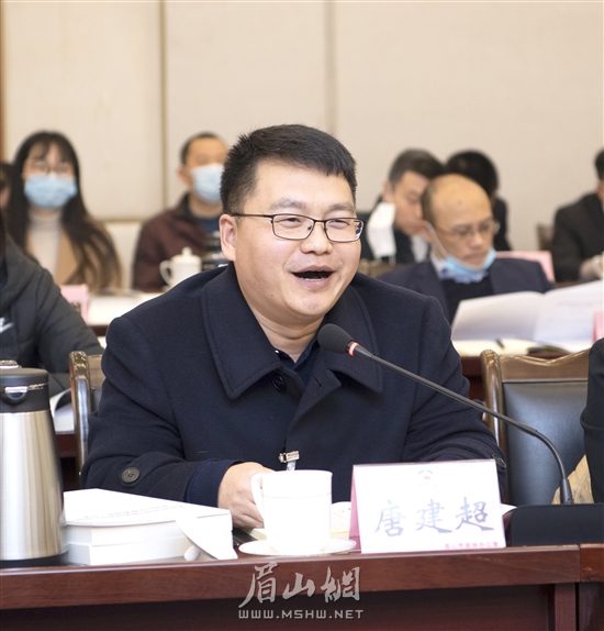 唐建超委员发言。