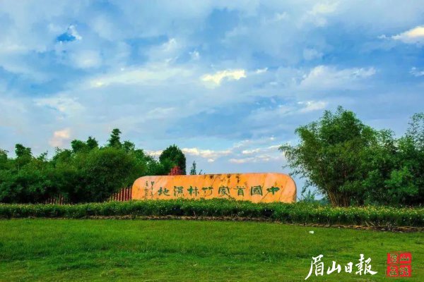 竹林湿地公园。