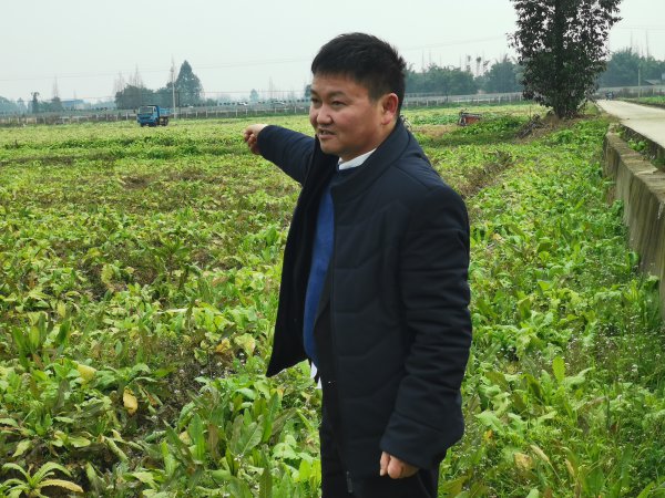 李相德：“听了总理一番话，种粮更有信心了”。王允浩  摄