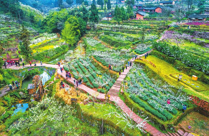 网红打卡地——眉山市丹棱县幸福古村。图据《四川日报》