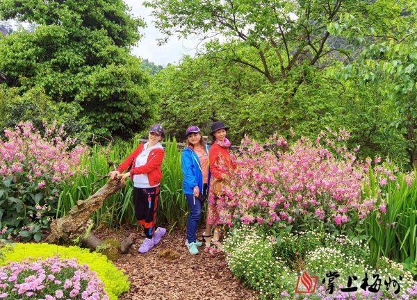 梅州采访团镜头下的幸福古村。 梅州采访团镜头下的幸福古村。