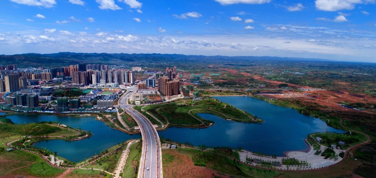 绿满湿地。谭立新 摄