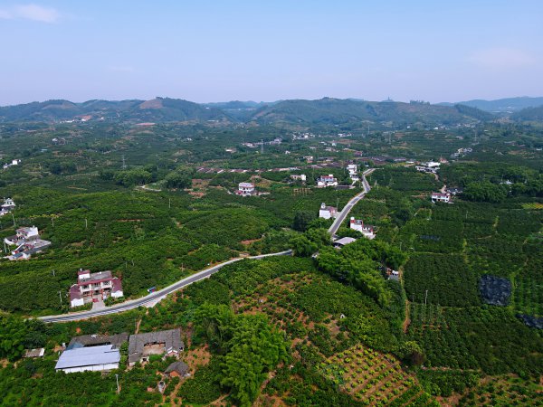 W020210830823084336520_600.jpg W020210830823084336520_600.jpg